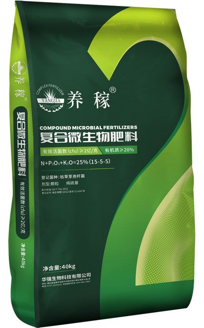 qmh球盟会