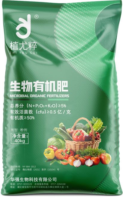 qmh球盟会